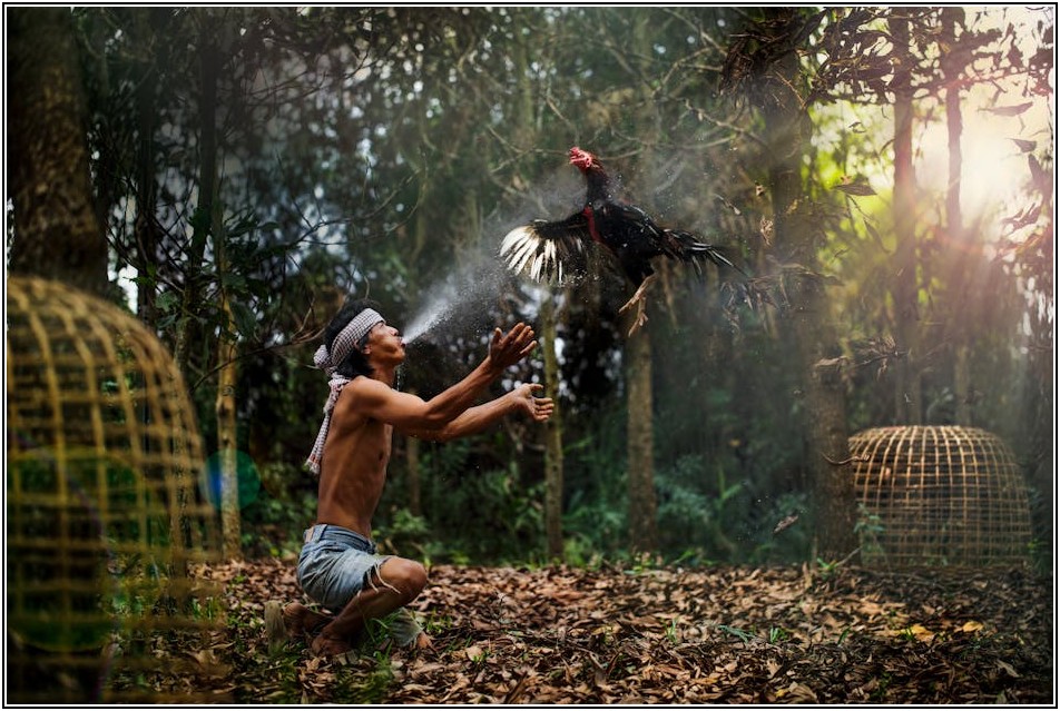 깐부치킨 제대로 즐기기: 가격부터 영업시간까지 A to Z