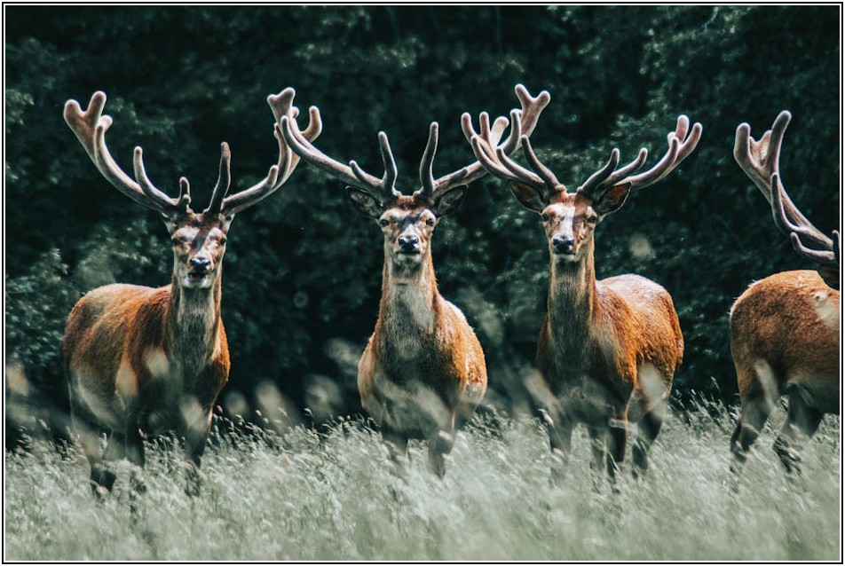 스토킹 예방 및 대처법: 안전한 일상 지키기