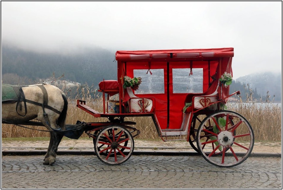 무거운 짐, 이제 계단 오르는 카트로 걱정 끝