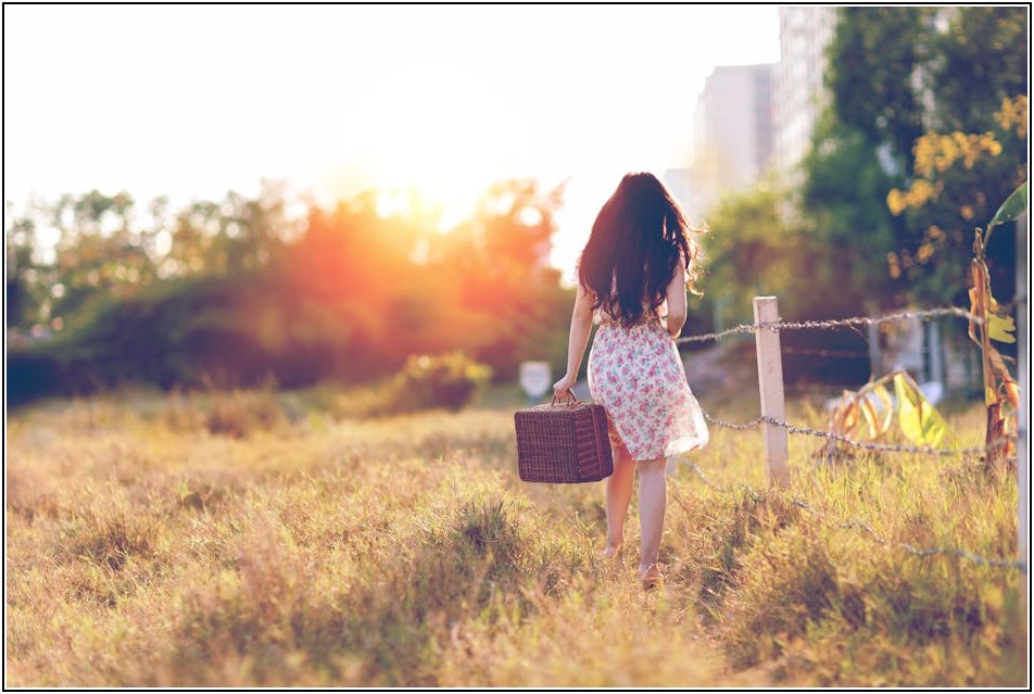 전원주택 울타리, 어떤 소재가 좋을까? 종류별 장단점 총정리