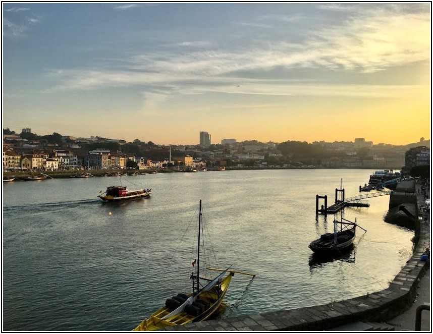 가비야 번역 성경, 다양한 버전 비교 분석 가이드