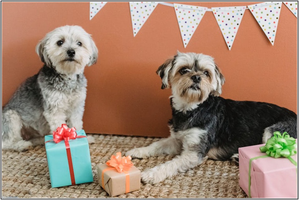 성공적인 홈파티, 음식 준비 시간 절약 노하우 총정리