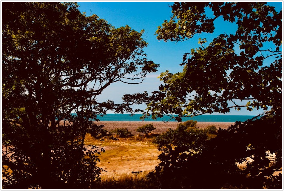 영어 오디오북, 똑똑하게 듣는 법과 학습 효과