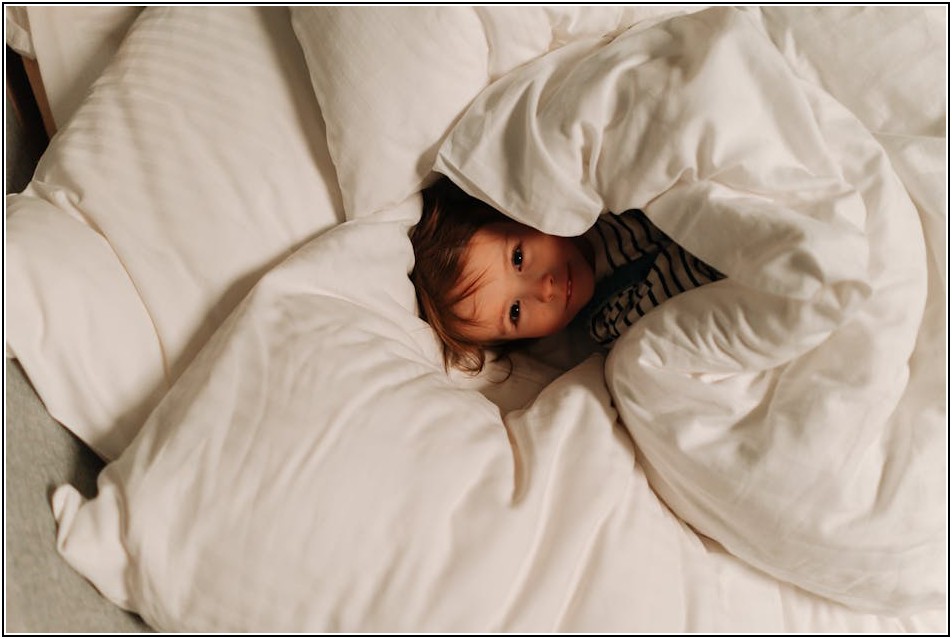 안전나라 활용법: 모두를 위한 안전 정보 접근성