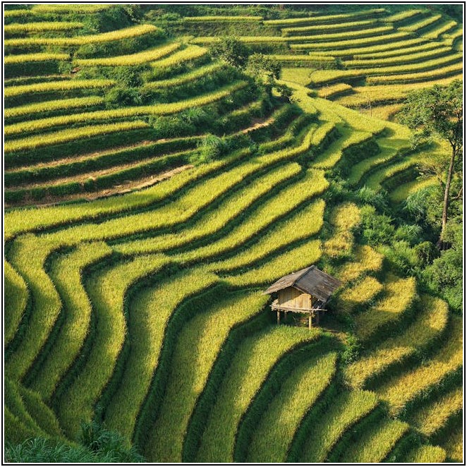 해외로 쌀 보내기: 운송, 검역, 보험 비용 절감 노하우