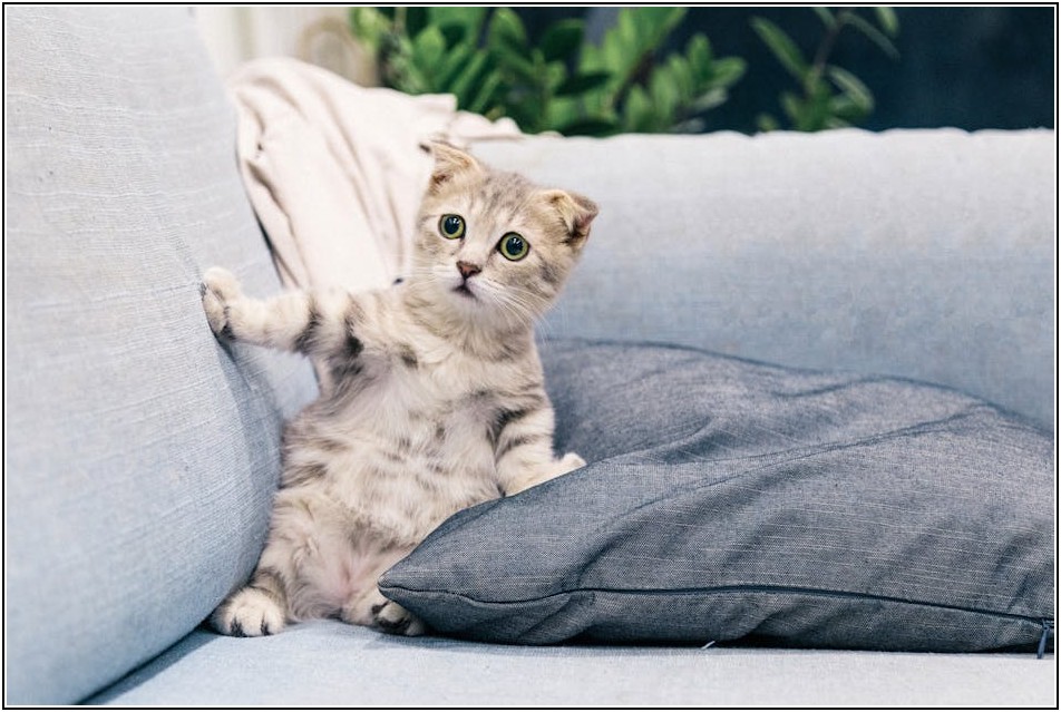 나만의 코리빙 라이프, 실패 없이 시작하는 법