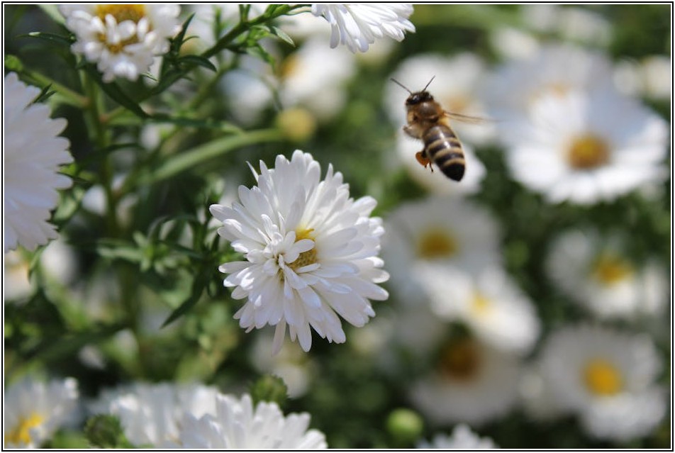 쾌적한 봄 맞이: 황사철 건강 관리 꿀팁 공개