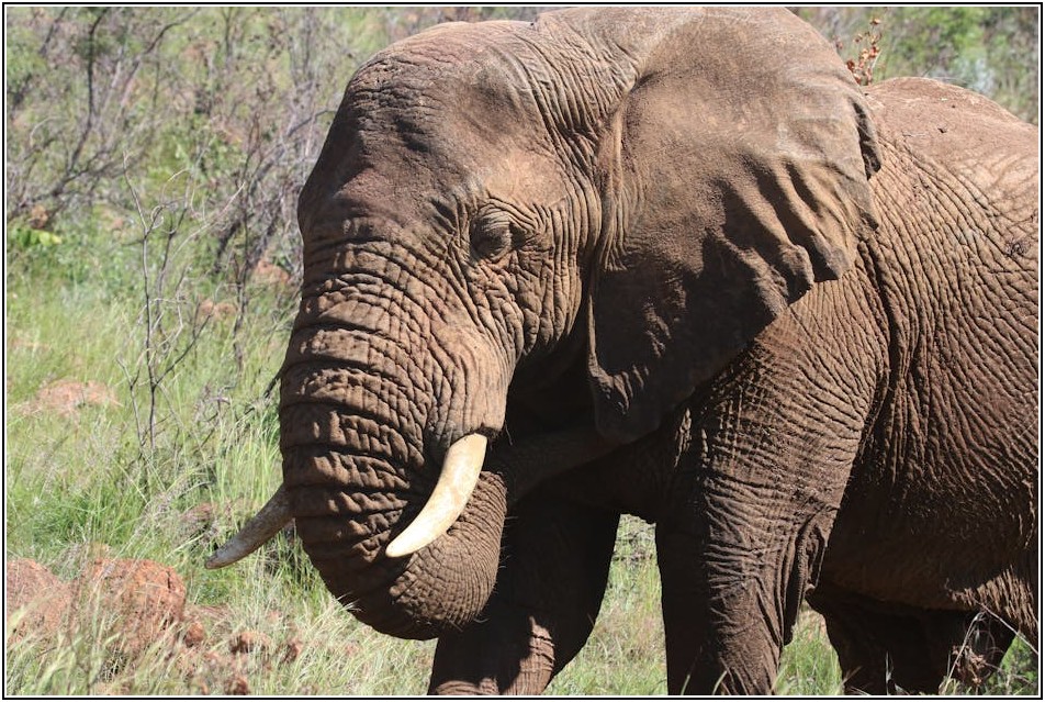 대형 펜션으로 떠나는 완벽한 힐링 휴가 가이드