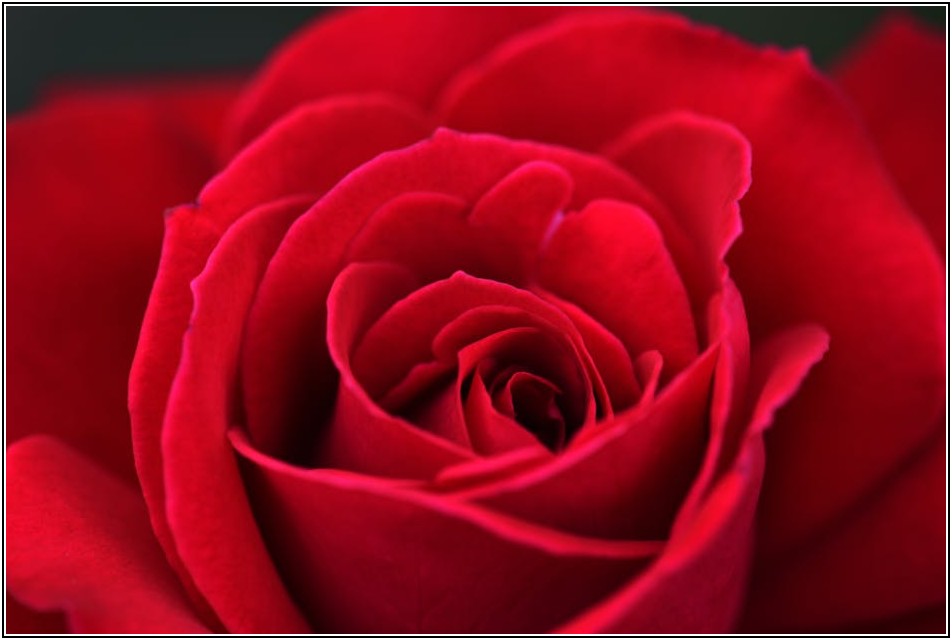 증여세 절세, 똑똑한 재산 이전 설계 가이드