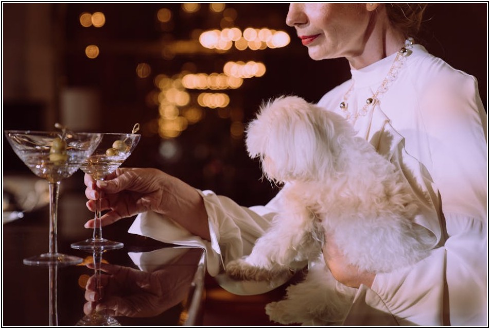 석모리 현지인 추천, 인생 맛집 리스트 대공개