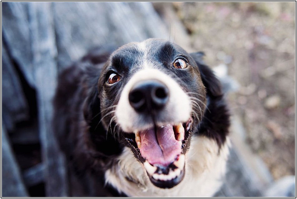 A3 코팅 퀄리티, 이것만 알면 전문가 수준