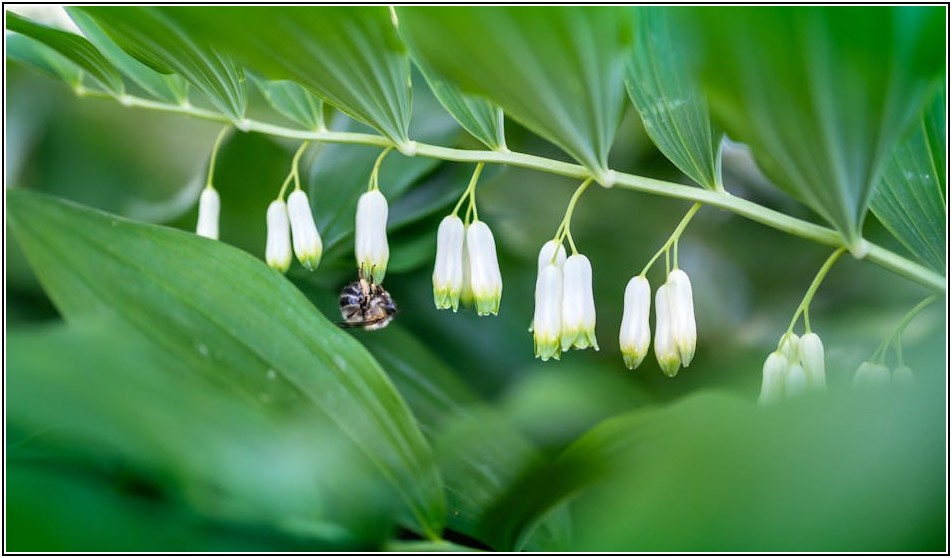 우리 집 건강을 지키는 에코씰, 공기질 개선의 모든 것