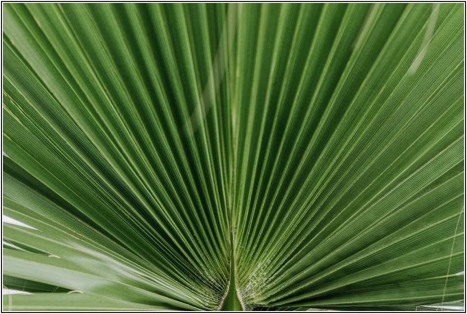 인라인 팬 환기 시스템, 공기 질 개선의 새로운 기준