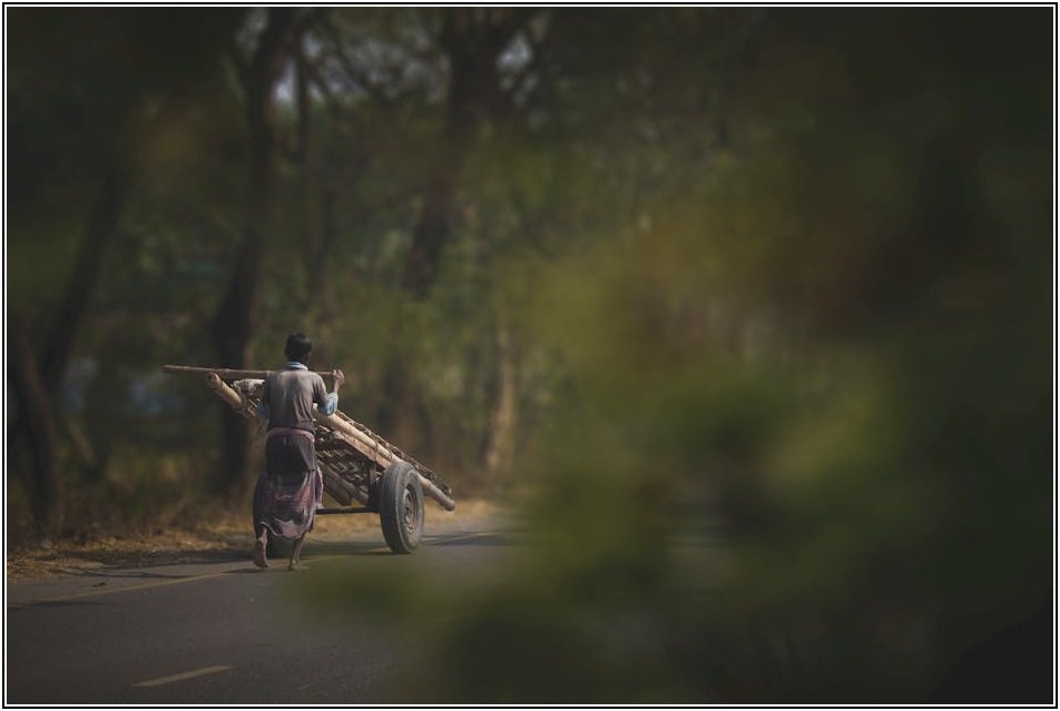 당신의 안전을 책임진다! 대형 구르마 올바른 사용법 A to Z