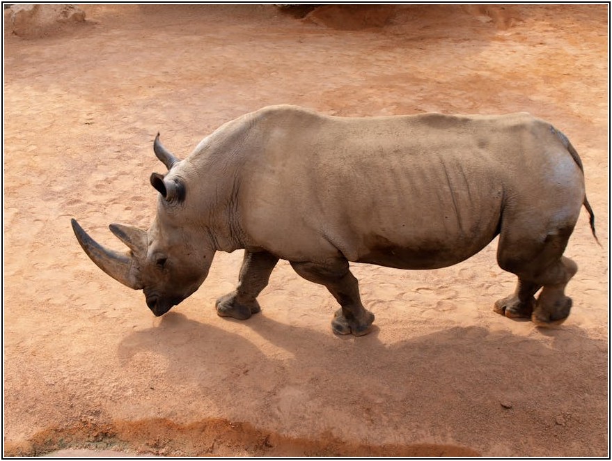 강남구 폐기물 처리, 수수료부터 절차까지 속 시원하게