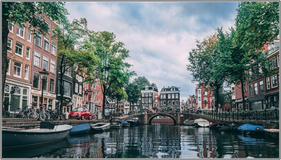 압류된 자동차, 포기하지 마세요! 해결 가능한 방법은?