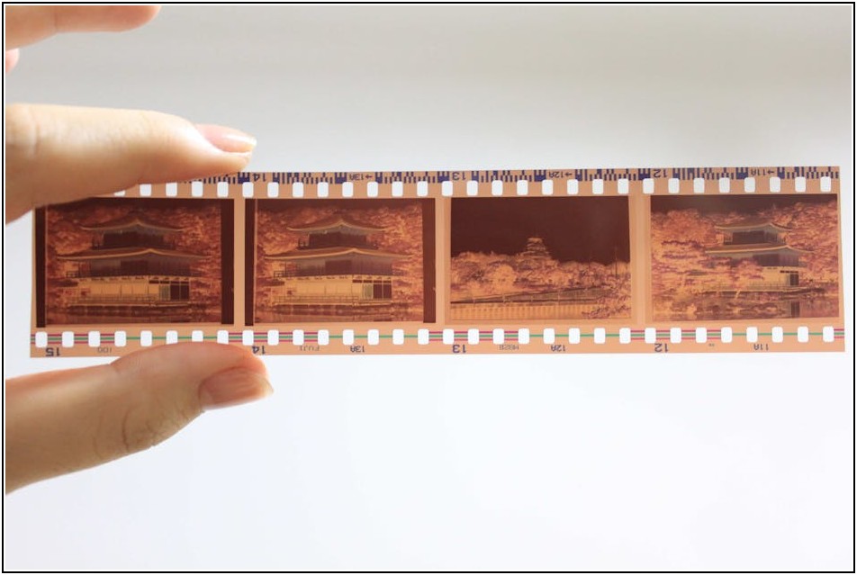 사진 사이즈와 화질, 이것만 알면 전문가처럼!