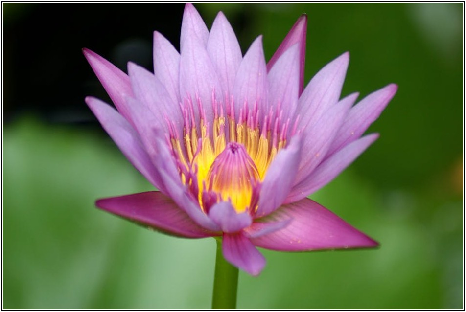 명상원, 삶의 쉼표를 찍다: 다양한 명상 종류와 효과