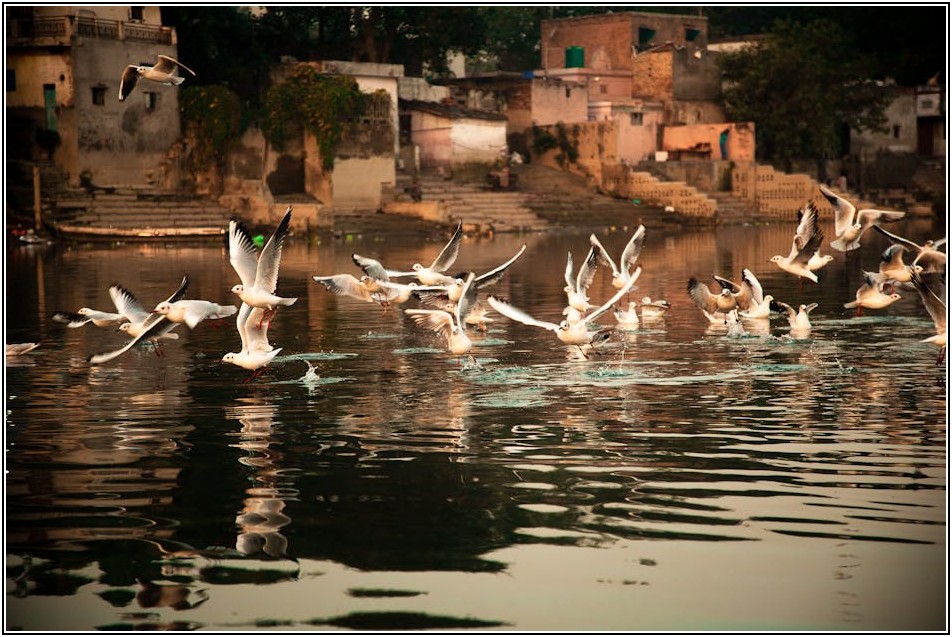 알아두면 돈 되는 은행 금리 비교 완벽 분석