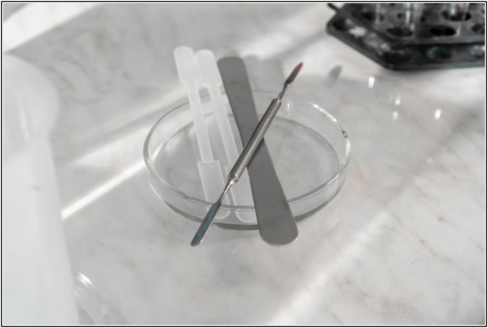 페트리 접시, 안전하게 버리는 완벽 가이드