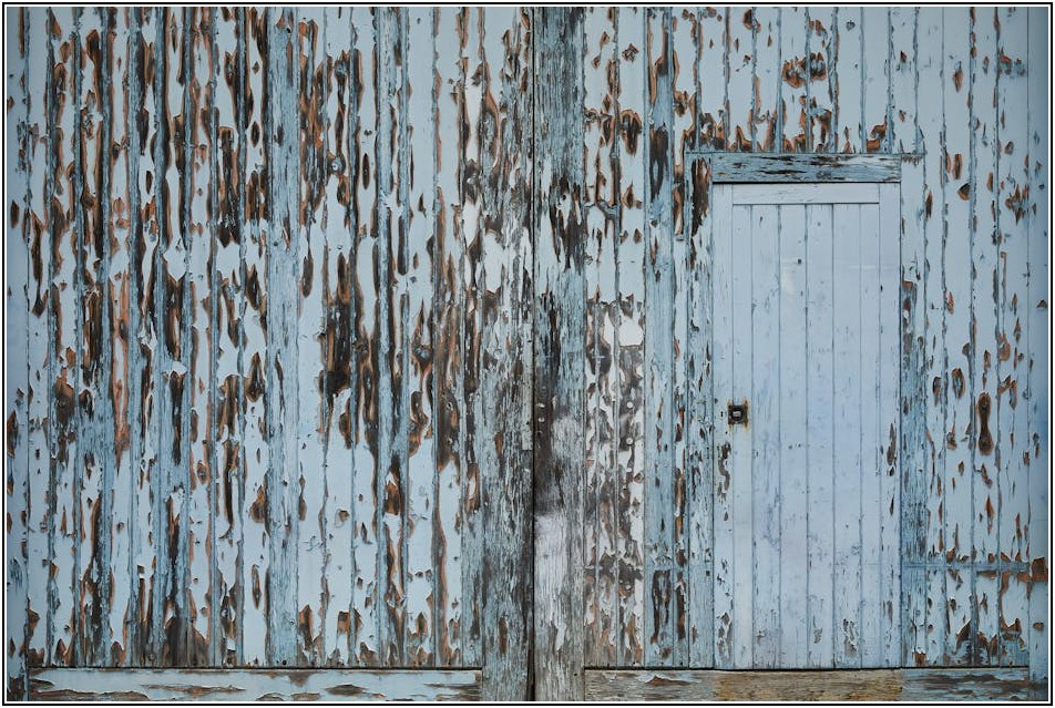 외벽도색, 건강한 집을 위한 필수 관리법