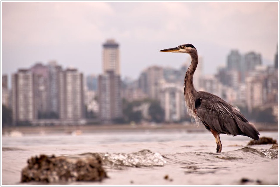 번거로운 대형 폐기물, 용인시에서 간편하게 처리하기