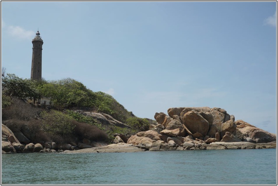 금양주가 전망, 투자 가치 분석 및 투자 전략 A to Z