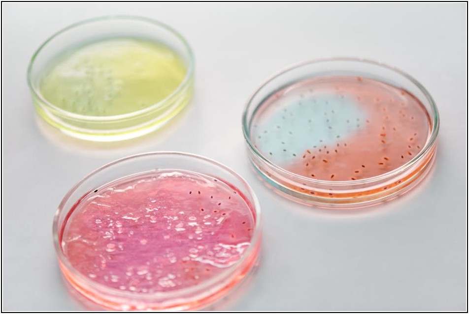 알면 도움 되는 구강 미생물 상식