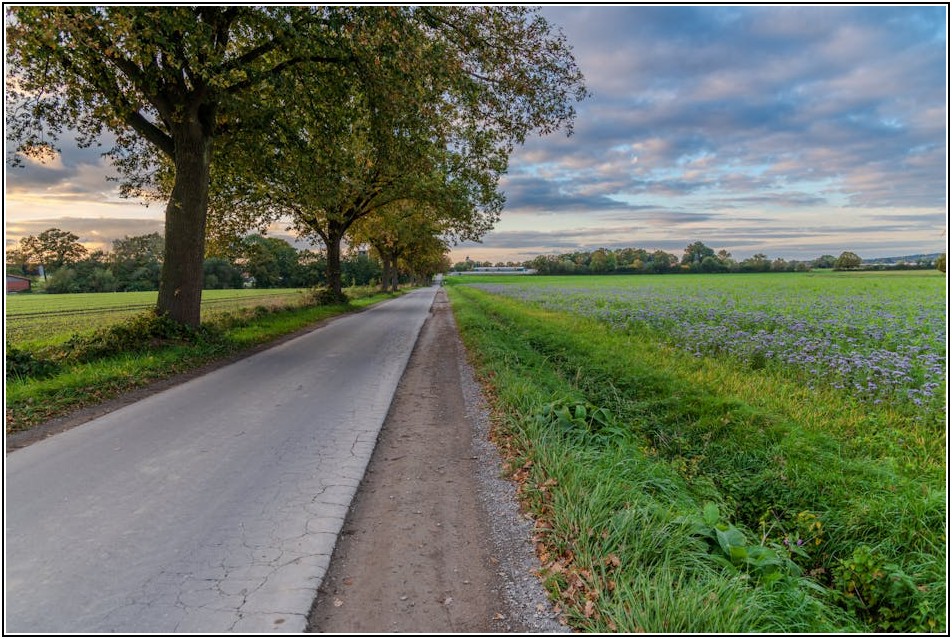 김창옥 강사처럼 소통하라! 더 나은 인간관계를 위한 조언