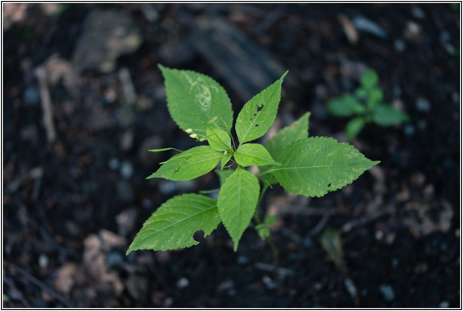 합격 부르는 자소서 성장 과정, 경험 활용법 A to Z