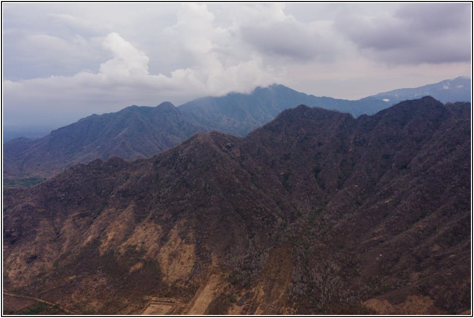 해외 체류자를 위한 비자 연장, 온라인으로 간편하게 해결!