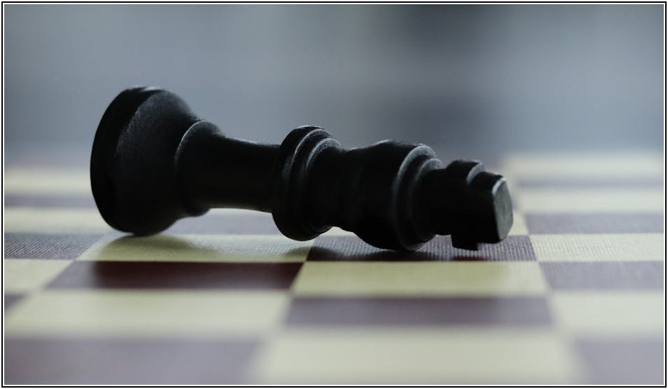 아담상대, 몰라서 못 썼다면? 이제는 당신 차례!