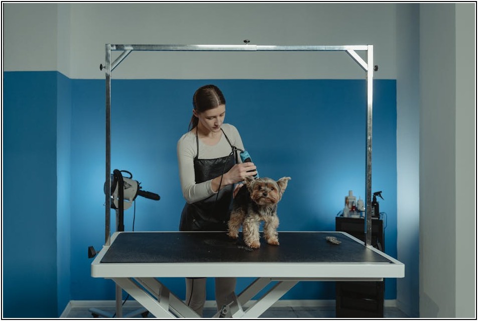 부산 지역 레이저 절단 시장, 새로운 기술과 전망 분석