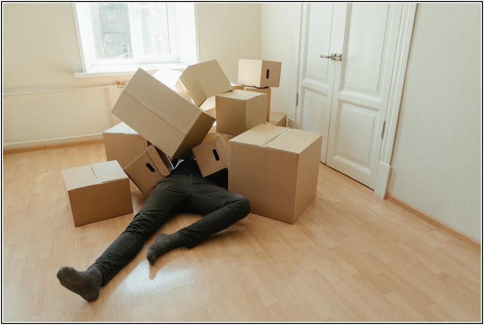 가성비 최고! 접이식 정리함으로 깔끔한 수납 완성