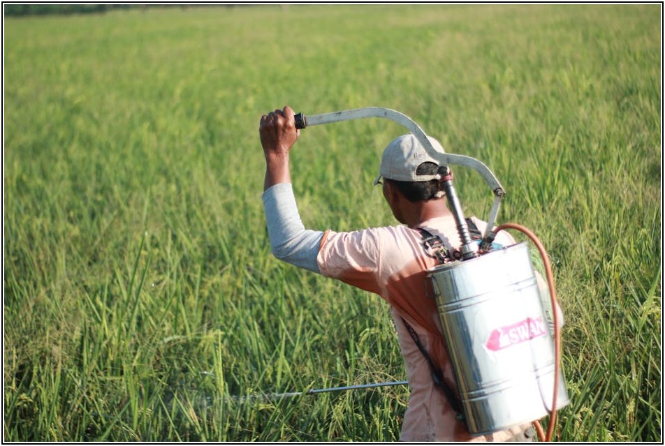에어리스 도장기, 셀프 페인팅 성공을 위한 필수 가이드