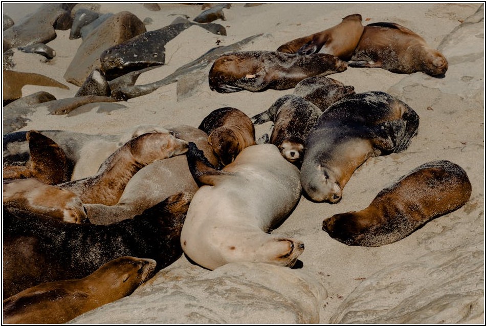 티타늄 인감도장, 올바른 관리로 수명을 늘리세요