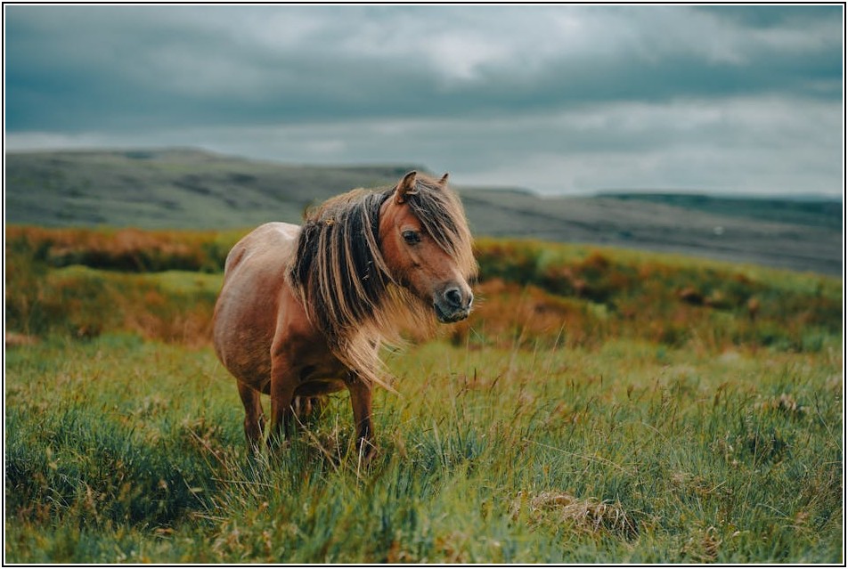 종이책보다 E북! 무료 E북 활용 독서법
