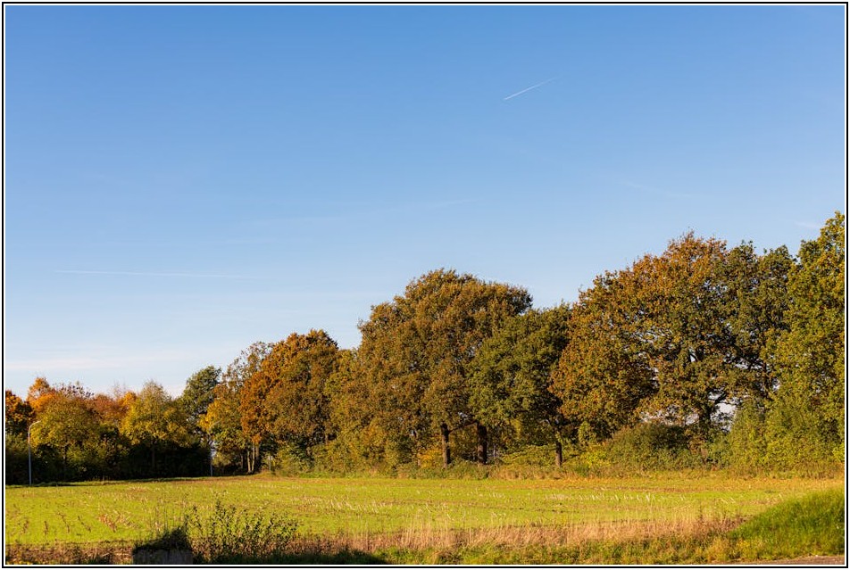 농업회사, 이것만 알면 성공한다! 사업 운영 가이드