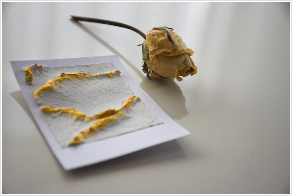 초보도 OK! 소형 지게차 운전 면허 핵심 총정리