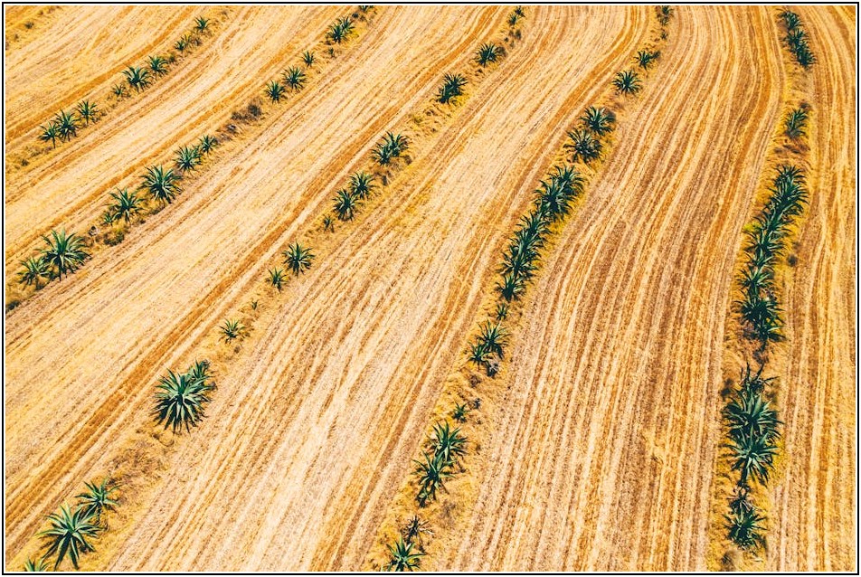 미래 유망 직업, 대구 드론 조종사 도전하기