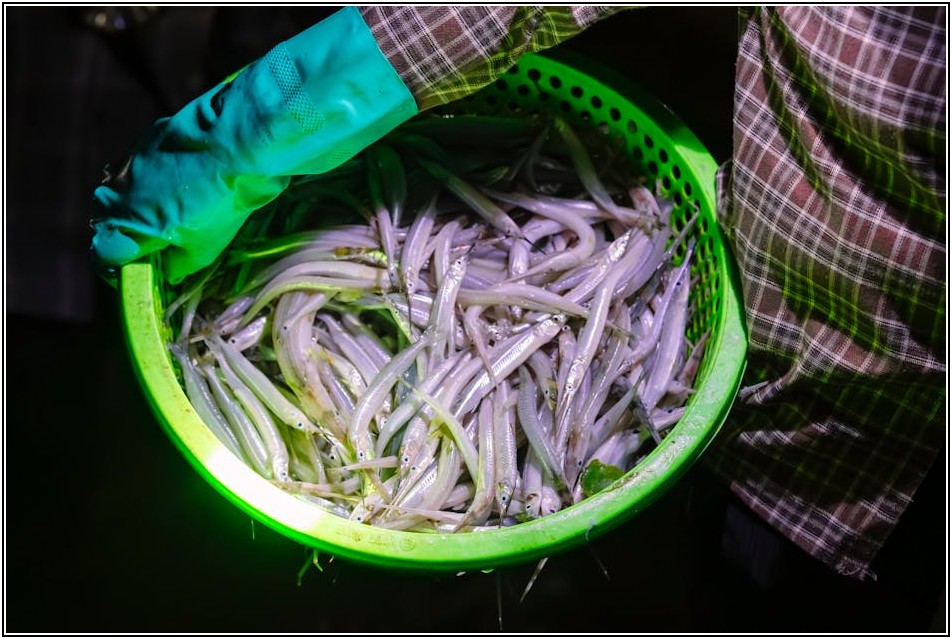 사각 플라스틱 바구니 청소, 이렇게 하면 쉬워요!