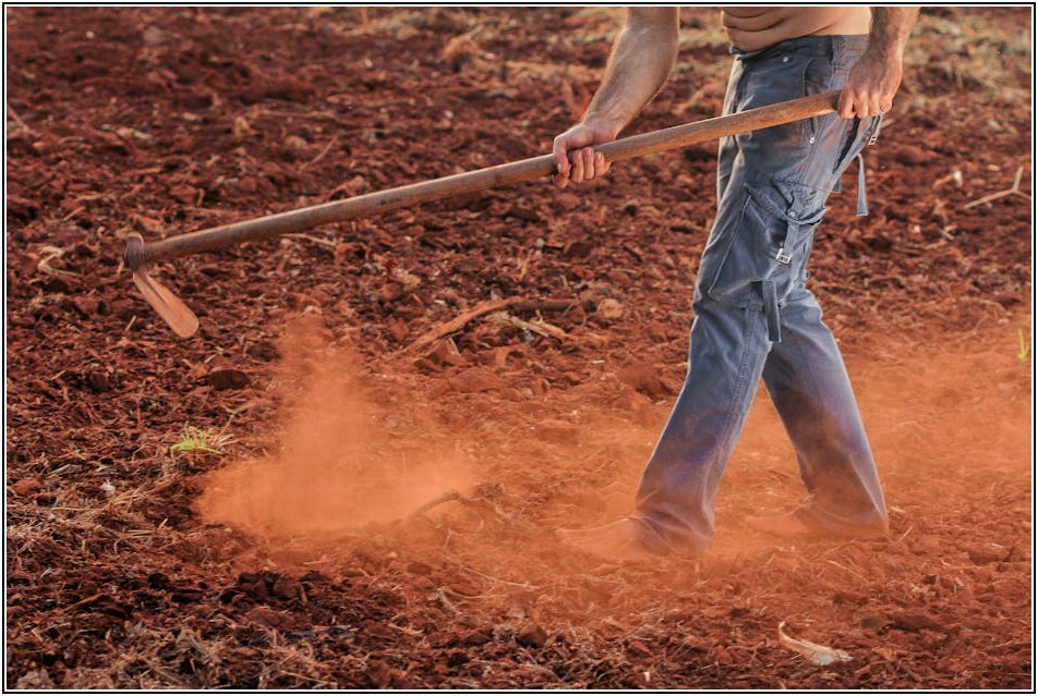 마곡 노무사의 성공 비법, 실제 사례를 통해 엿보기