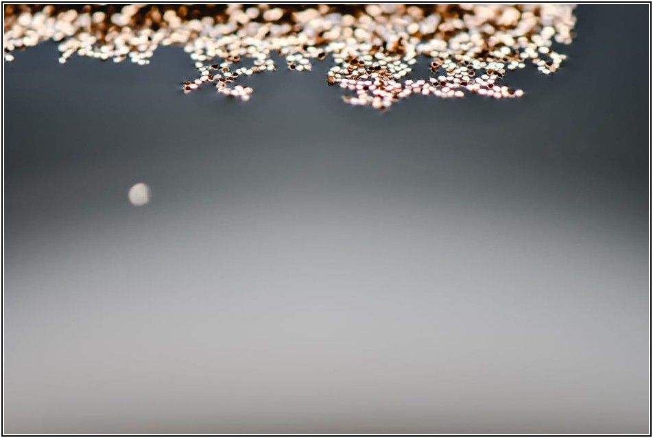 취소된 운전면허, 재취득 시험 합격 비법 공개