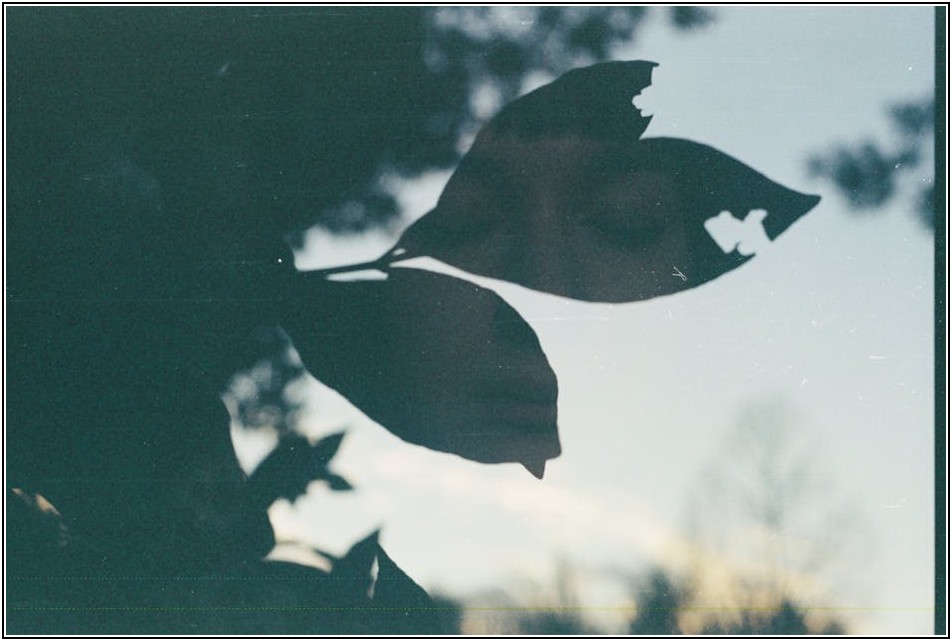 유튜브 영상 퀄리티 UP! 똑똑한 촬영 조명 고르는 법