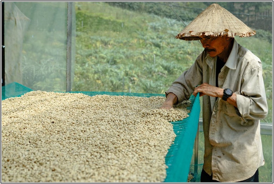 인계동 껍데기 맛집: 착한 가격에 즐기는 인생 안주