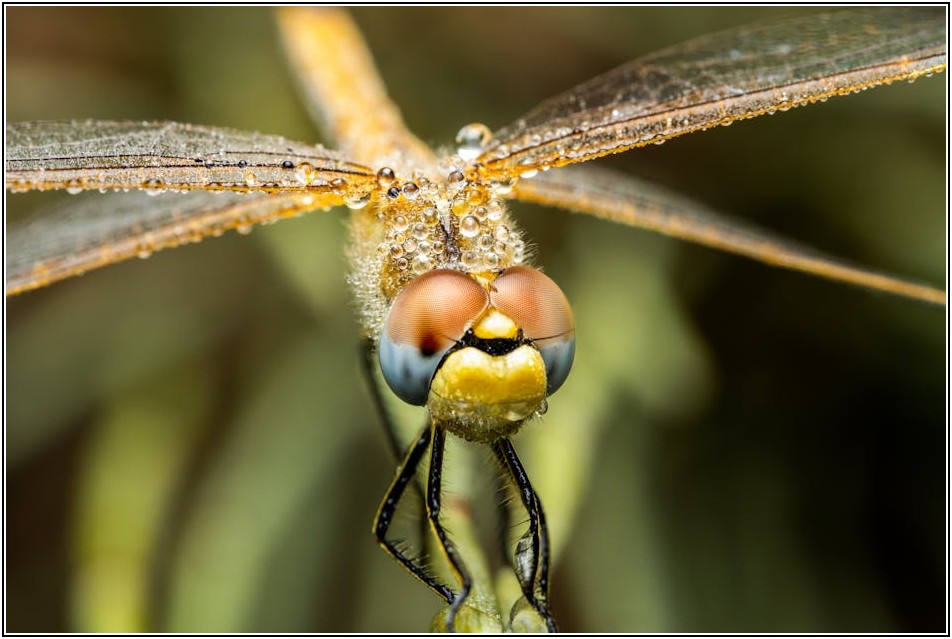 시간 절약 필수템! 엑셀 매크로 실무 활용 가이드