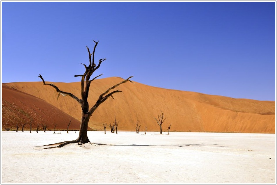 화재 예방의 첫걸음, 분말소화약제 보관법 완벽 가이드