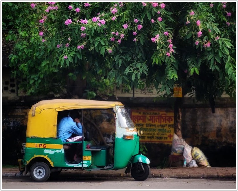 일일운전자보험, 보험료 비교 핵심 총정리