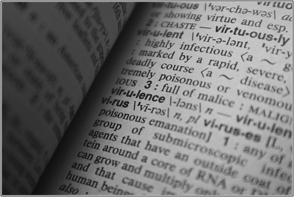 읽는 재미에 영어 실력까지 쑥쑥, 영어 소설 활용법