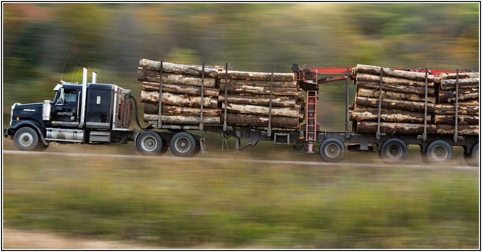 가성비 최고 화물 중고차, 연식별 특성 파악하기